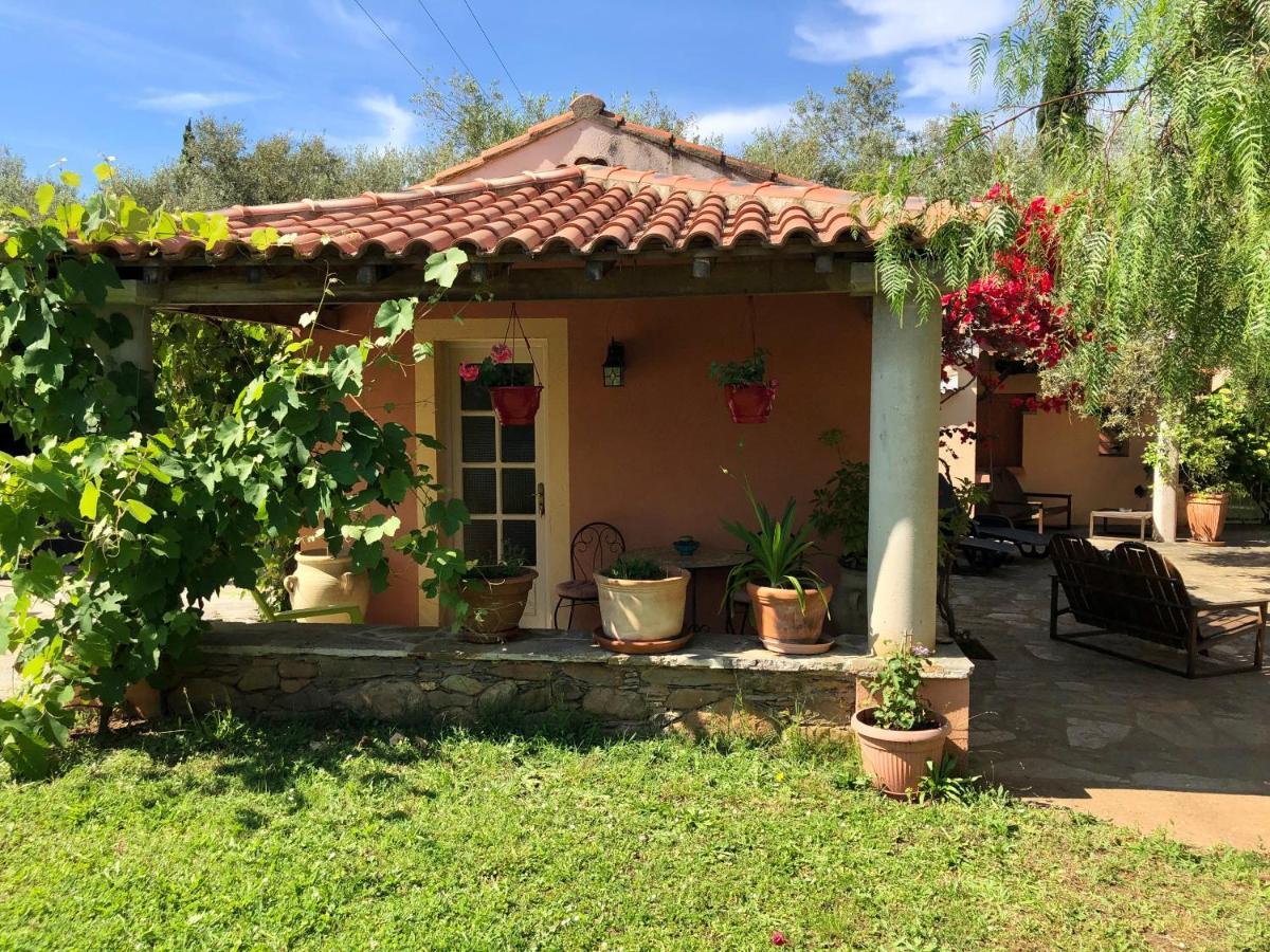 Domaine Le Clos Des Oliviers Sorbo-Ocagnano Exterior photo