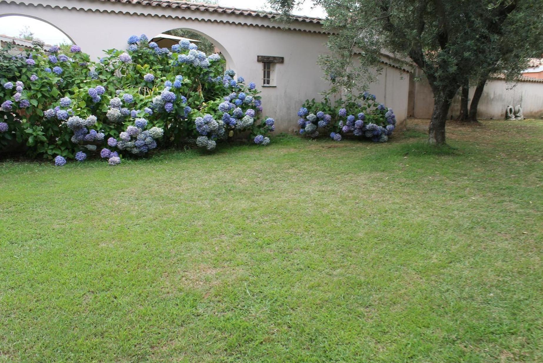 Domaine Le Clos Des Oliviers Sorbo-Ocagnano Exterior photo