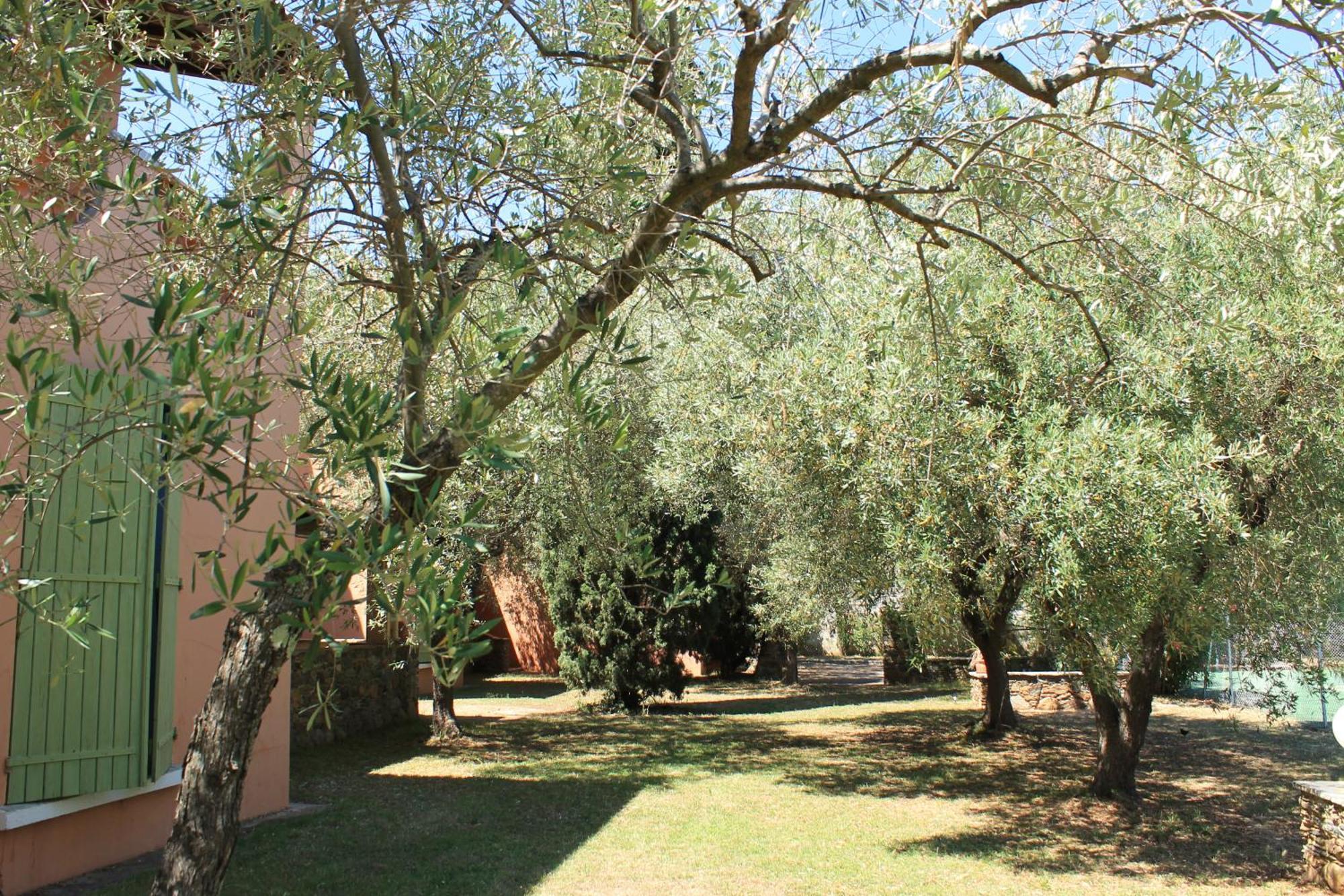 Domaine Le Clos Des Oliviers Sorbo-Ocagnano Exterior photo