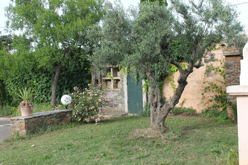 Domaine Le Clos Des Oliviers Sorbo-Ocagnano Exterior photo