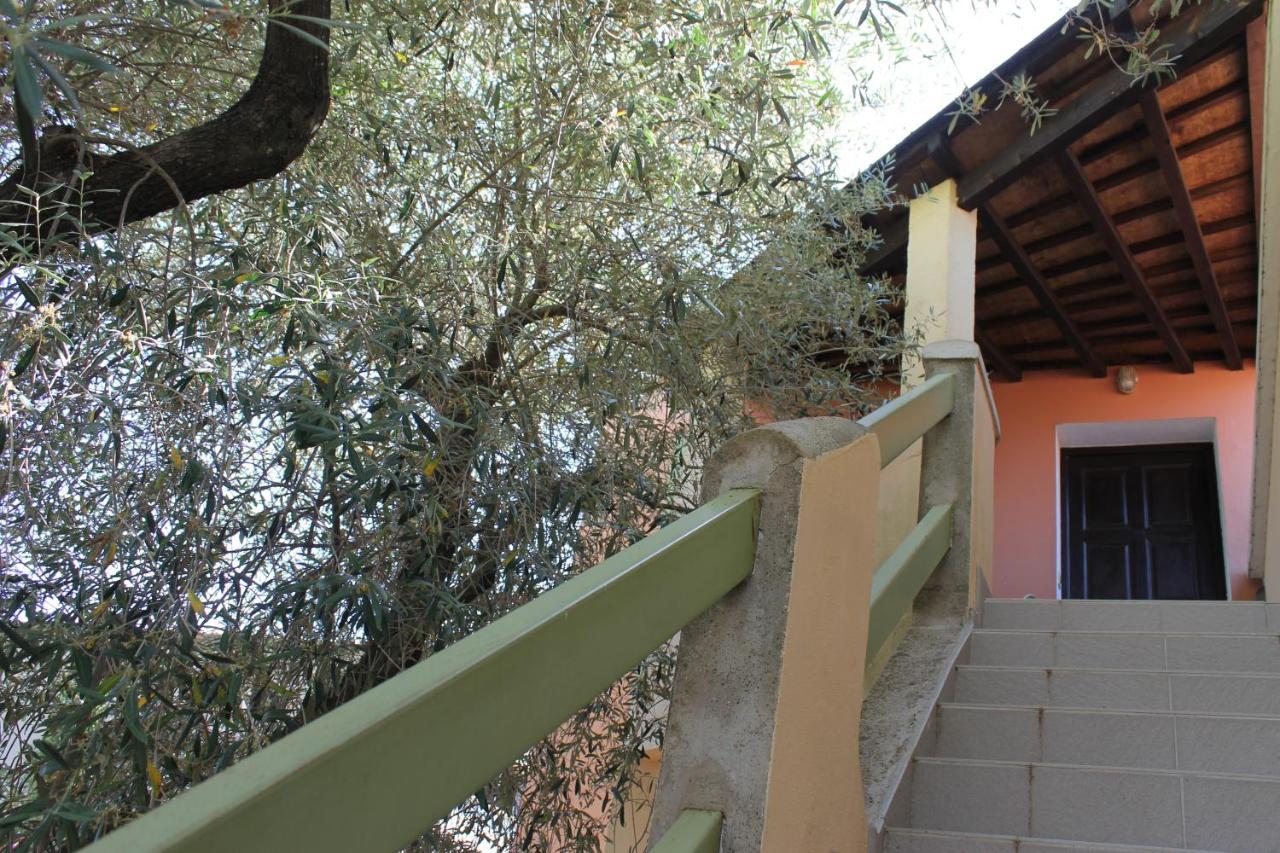 Domaine Le Clos Des Oliviers Sorbo-Ocagnano Exterior photo
